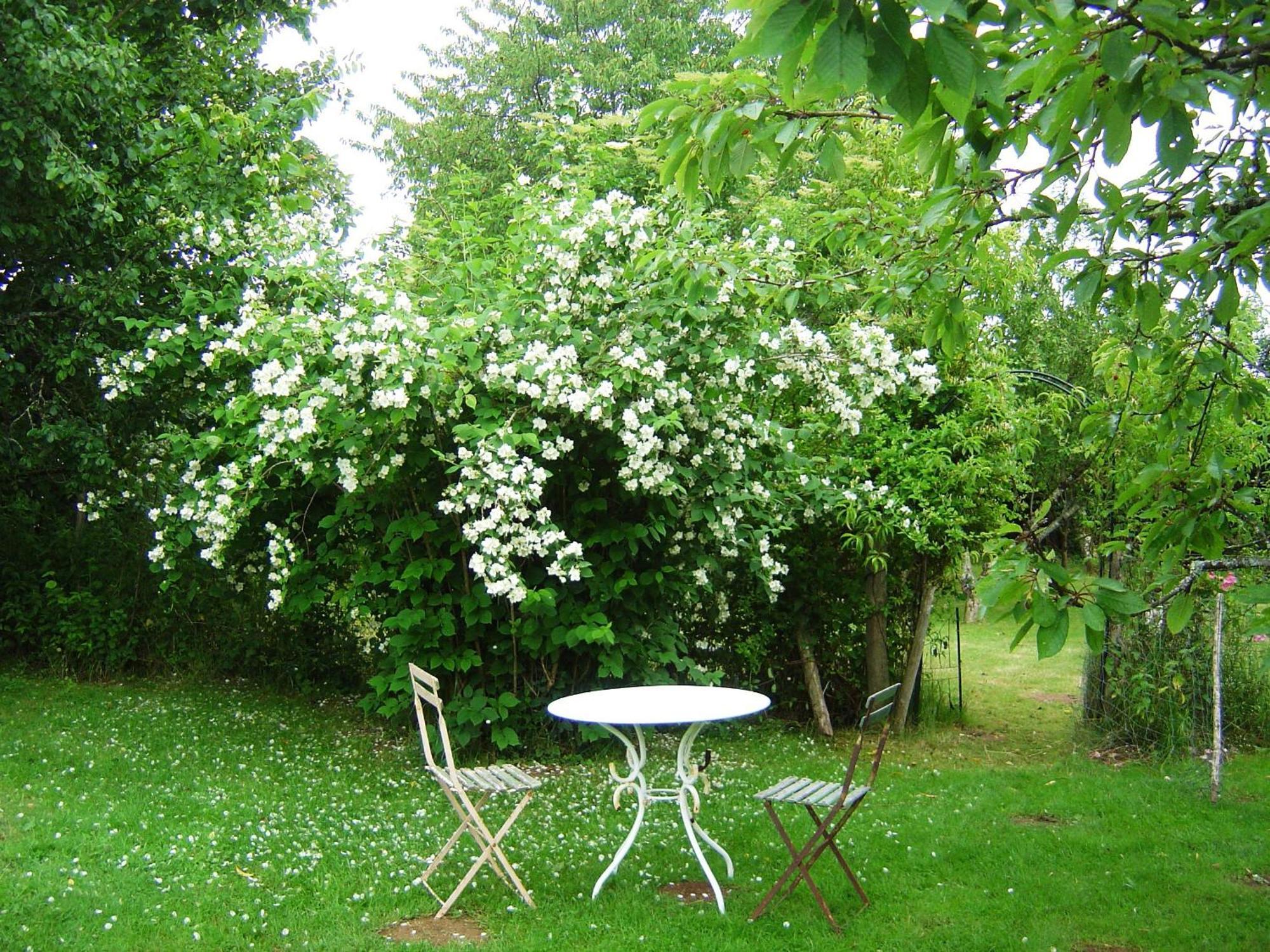 Bed and Breakfast Les Trois Chenes Videix Exterior foto