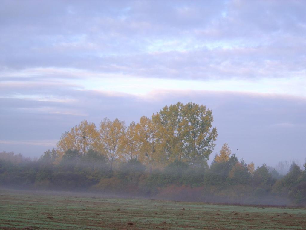 Bed and Breakfast Les Trois Chenes Videix Zimmer foto